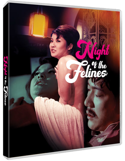 Night Of The Felines